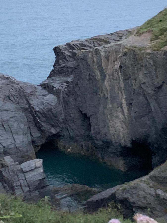 Wild Coastal Retreat At Troed Y Rhiw Aberporth, West Wales Villa Екстериор снимка
