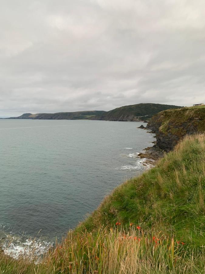 Wild Coastal Retreat At Troed Y Rhiw Aberporth, West Wales Villa Екстериор снимка