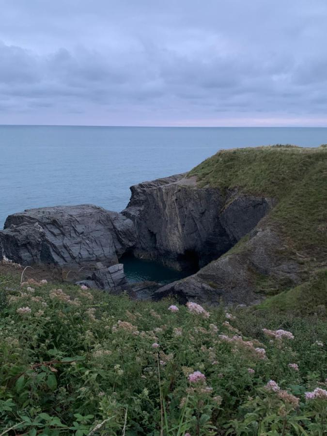Wild Coastal Retreat At Troed Y Rhiw Aberporth, West Wales Villa Екстериор снимка