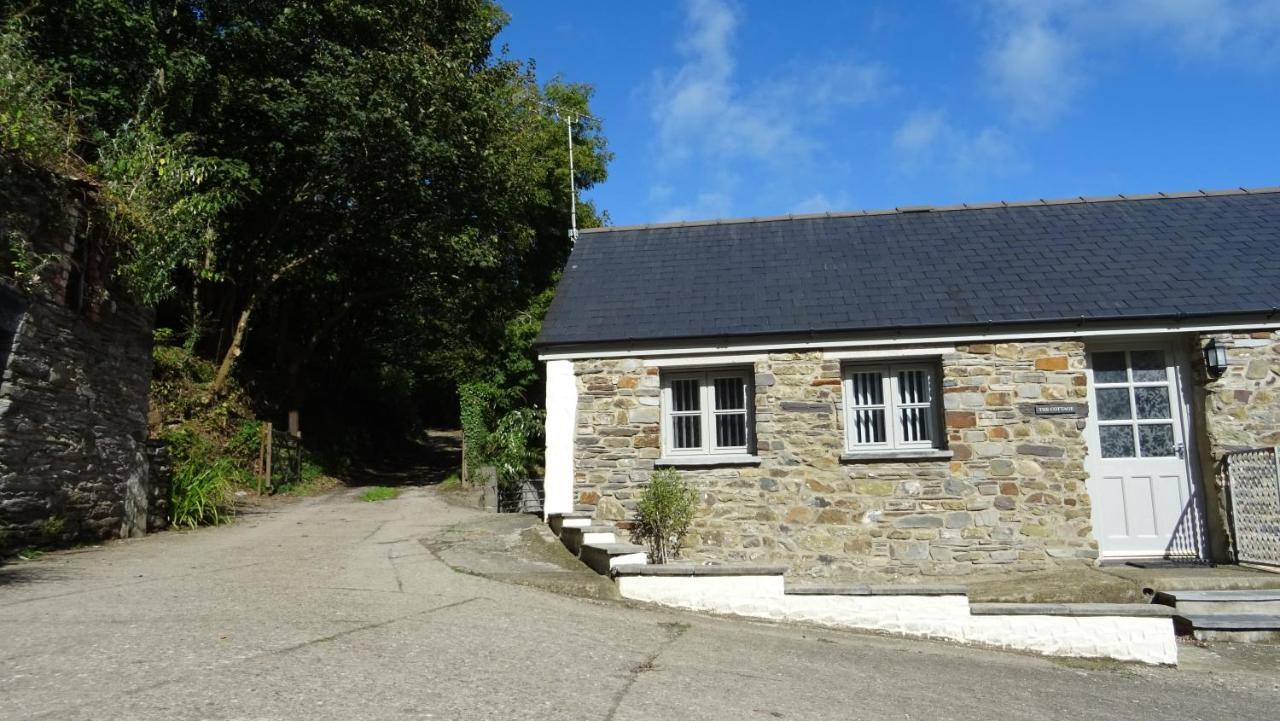 Wild Coastal Retreat At Troed Y Rhiw Aberporth, West Wales Villa Екстериор снимка