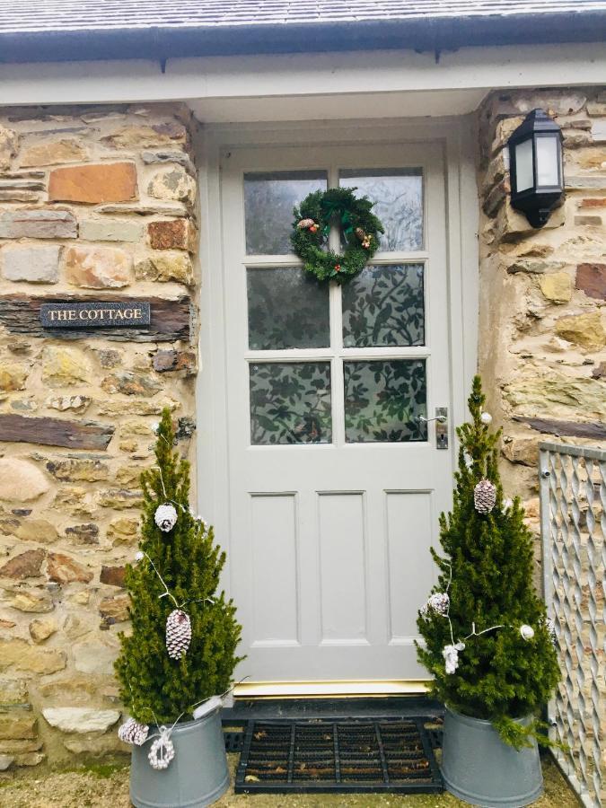 Wild Coastal Retreat At Troed Y Rhiw Aberporth, West Wales Villa Екстериор снимка